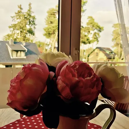 Maty's Strandhaus-apartments Holiday home
